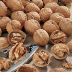 Куплю грецкие орехи очищенные 1600 кг в месяц, регулярно