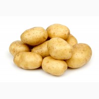 Покупаем картофель насыпью. От 50 до 1000 тонн