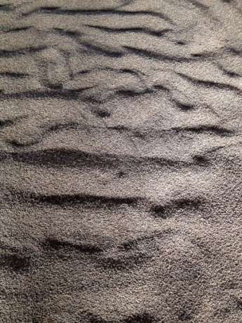 Фото 3. Семена (косточки) антипка маголебка Вишня маголебская