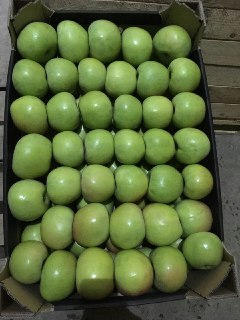 Фото 4. Яблоки оптом от производителя