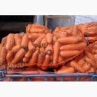 Продам морковь оптом