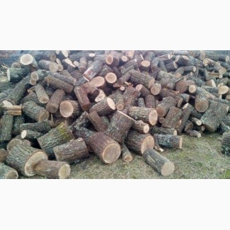 Дубові дрова | Оперативна доставка та вивантаження Луцьк