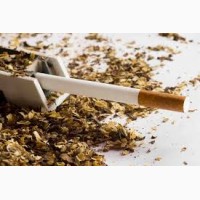 Фото 3. Курительный ароматний табак сорт Вирджиния, Вирджиния ГОЛД, Берли звоните прямо сейчас