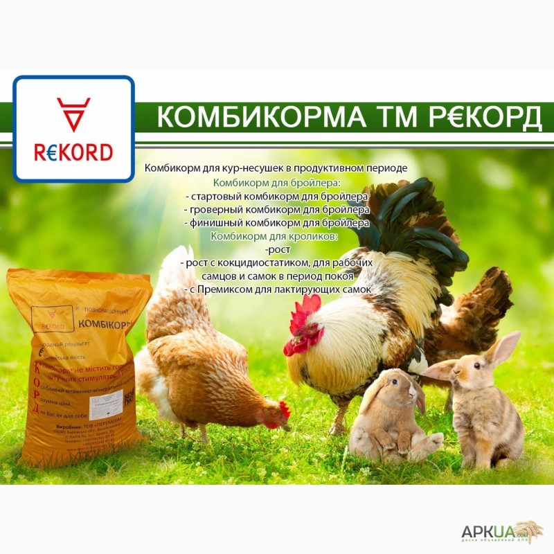 Фото 5. Комбикорм для цыплят-бройлеров ТМ РЕКОРД