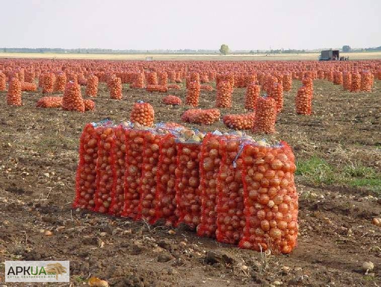 Спрос на овощные сетки