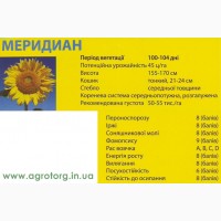 Насіння соняшника Меридиан ( сербської селекції)