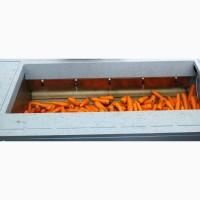 Порционная щеточная мойка для овощей, корнеплодов и орехов 1т/час