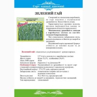 Озима пшениця сорту «Зелений гай» еліта, полтавська селекція