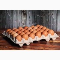 Продаж яйца курячі столові опт