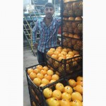 Апельсин из Турции FCA Мерсин