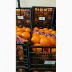 Апельсин из Турции FCA Мерсин