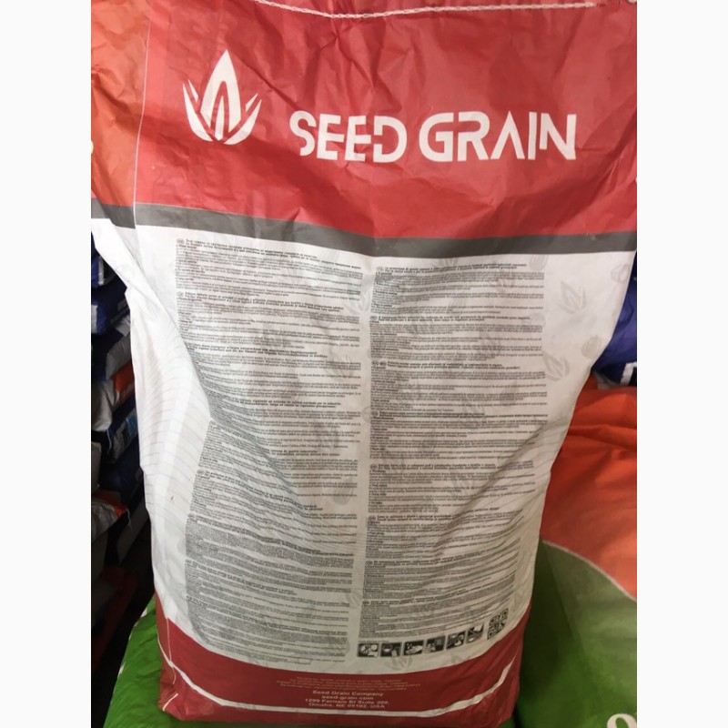 Семена кукурузы Тор (Seed Grain)
