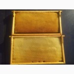 Продам сушь пчелинную, соторамки, соты для пчел пчелопакет