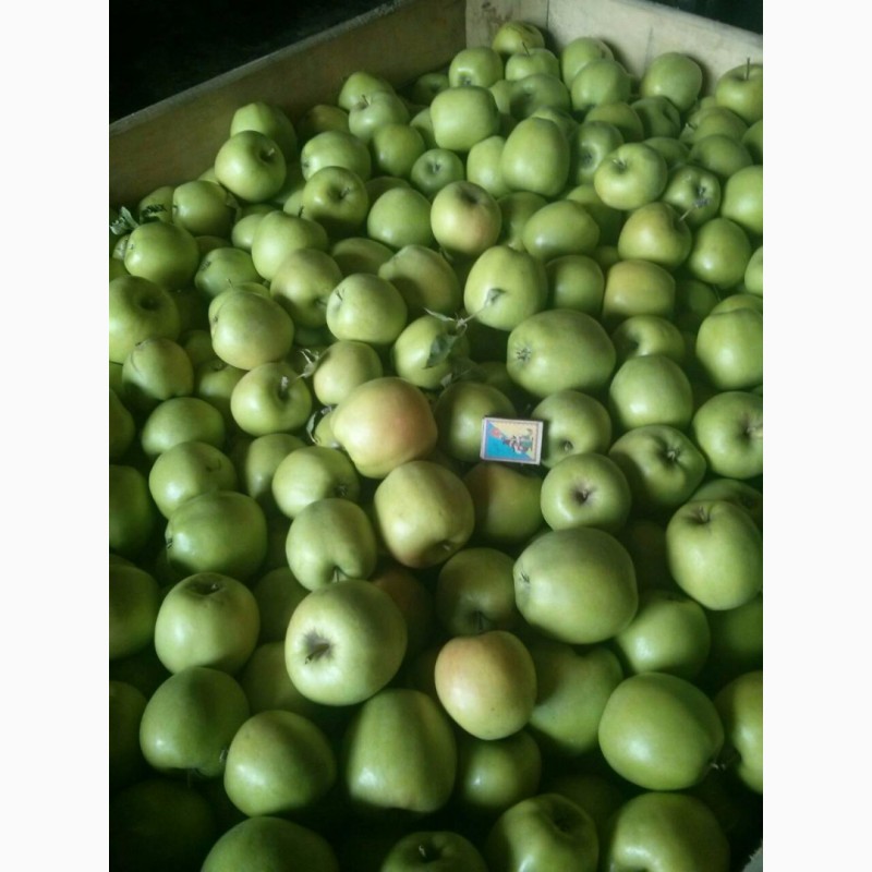 Фото 2. Яблоки оптом от производителя. Отличное товарное качество. Разные сорта