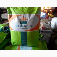 Продам семена подсолнечника Euralis