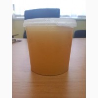 Sell polyfloral honey