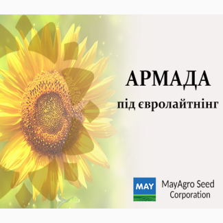 Насіння соняшнику гібрид Армада (Турція)/ гібриди виробництва «MAY AGRO SEED (Мей Агро)»