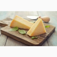 Сыр оптом от производителя / Производство любой молочной продукции