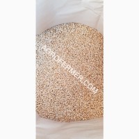 Семена пшеницы сорт Baxter канадская трансгенная двуручка