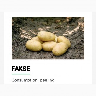 Продам картофель товарный и семенной с Дании от производителя