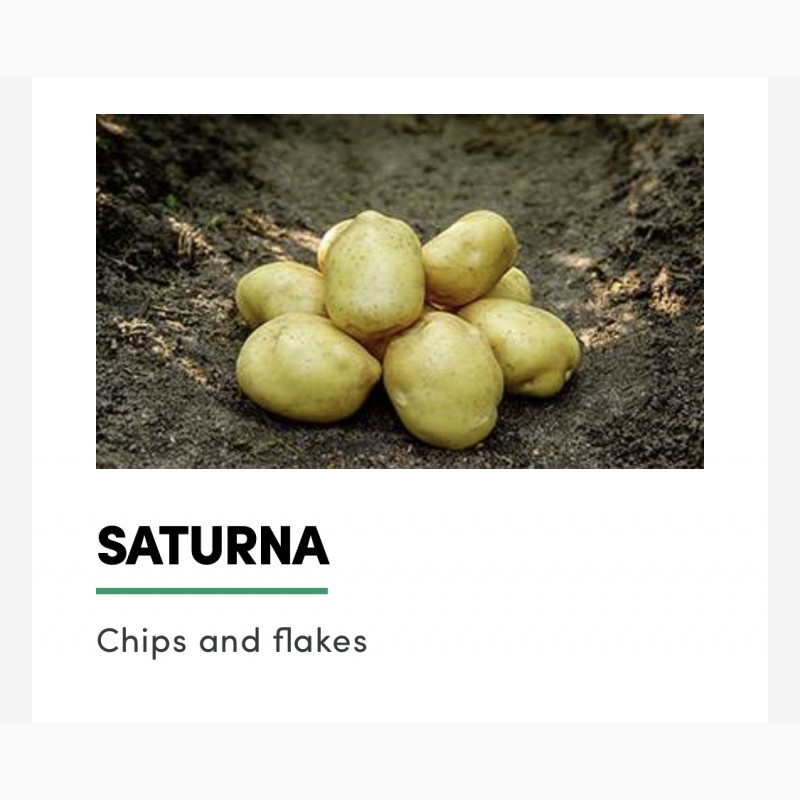Фото 6. Продам картофель товарный и семенной с Дании от производителя