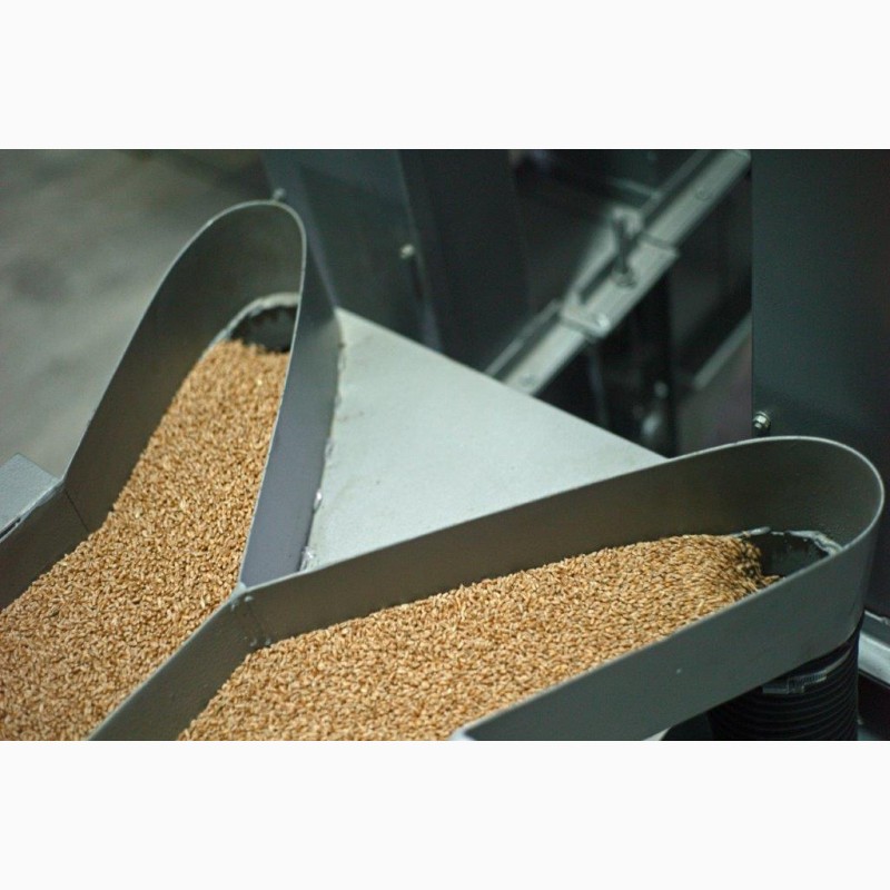 Фото 2. Очищення зерна до 99.5% на МПО (решета) + КВ2 (калібрування), на вібропневмостолі
