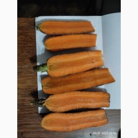 Продам моркоаь