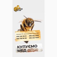 Купуємо Гречаний мед 70 грн/кг