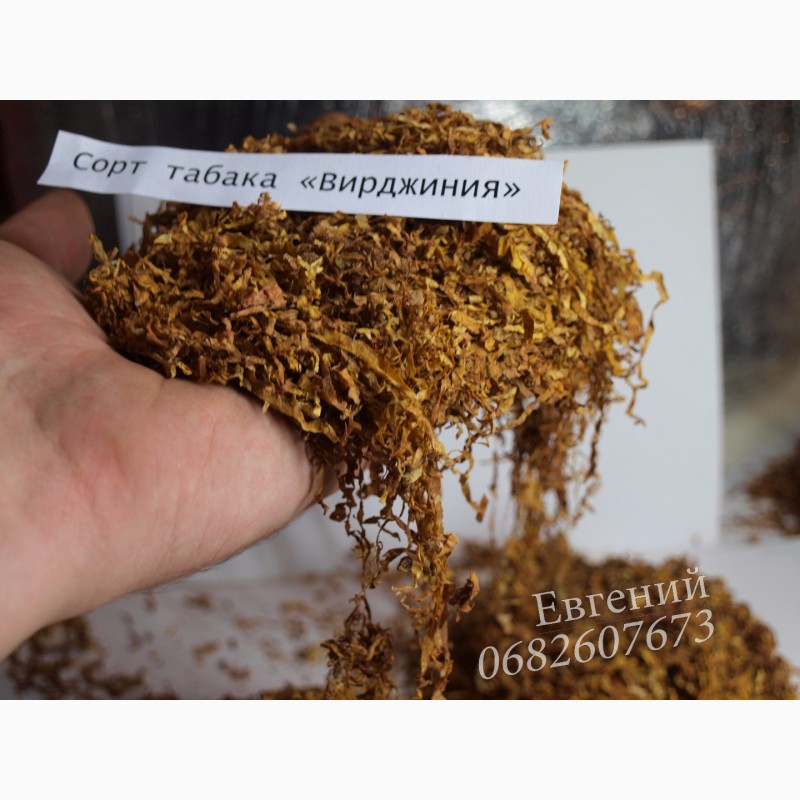 Фото 2. Качественный, ароматный табак «Вирджиния» - ферментированный, недорого