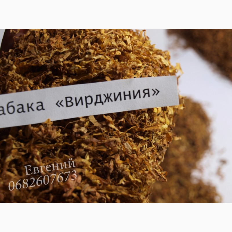 Фото 4. Качественный, ароматный табак «Вирджиния» - ферментированный, недорого