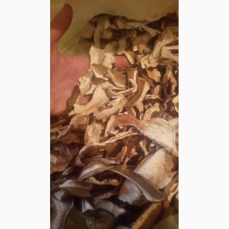 Фото 4. Продам гриби білі сушені
