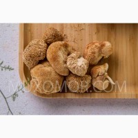Ежовик гребенчатый ДИКИЙ (Lion#039; s mane) ЦЕЛЫЕ плоды гриба - 50 гр