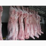 Продается оптом свинина в полутушах 1-2 категории от производителя