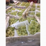 Продаем виноград из Испании