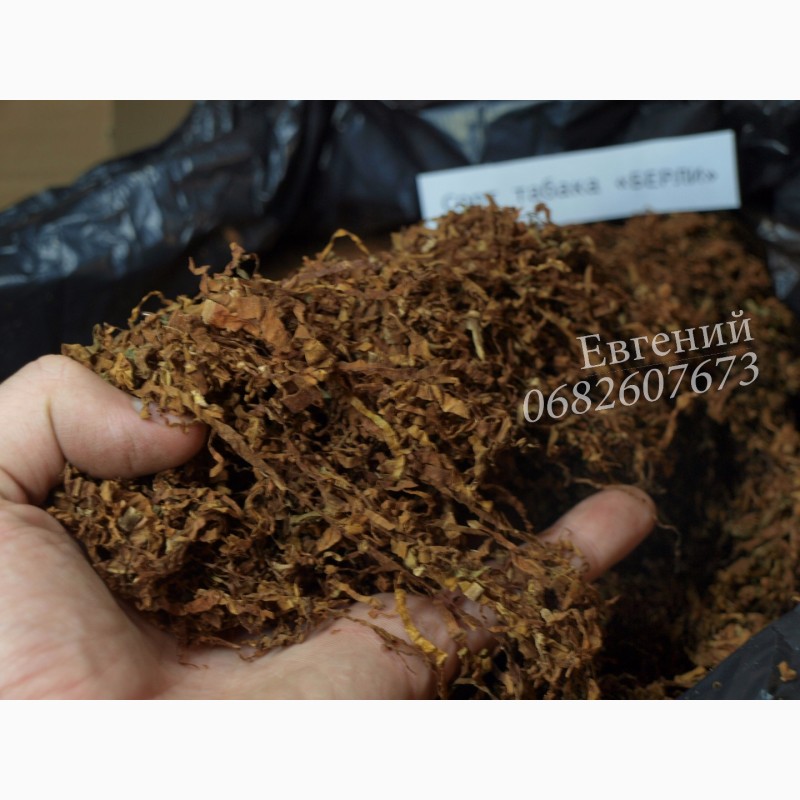 Фото 2. Табак Берли средней крепости (ферментированный), цена от 110 грн. Фото наши
