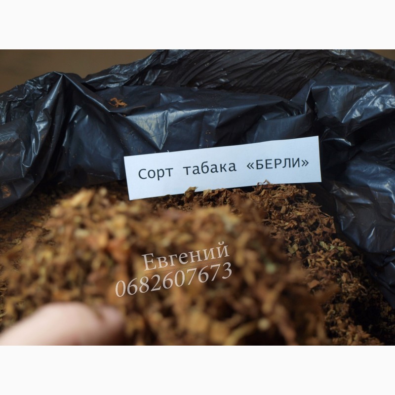 Фото 3. Табак Берли средней крепости (ферментированный), цена от 110 грн. Фото наши