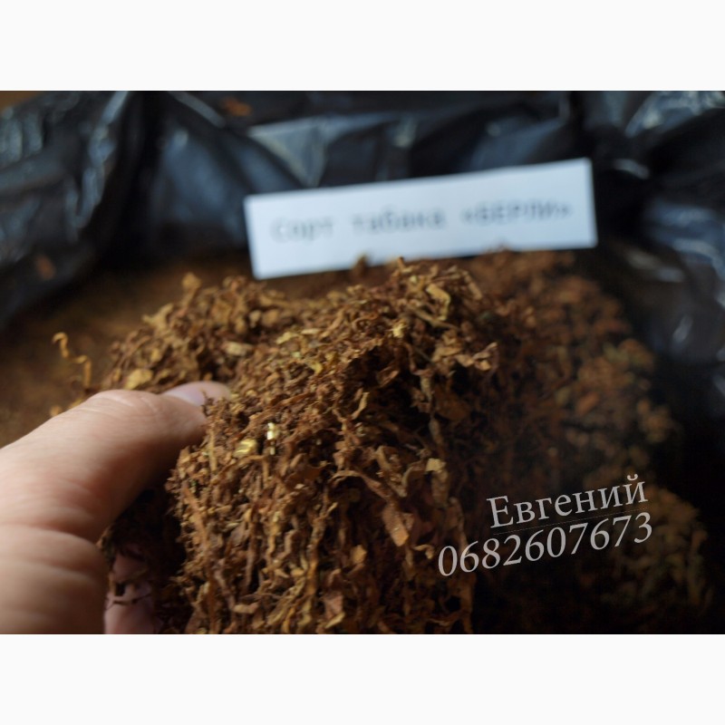 Фото 4. Табак Берли средней крепости (ферментированный), цена от 110 грн. Фото наши