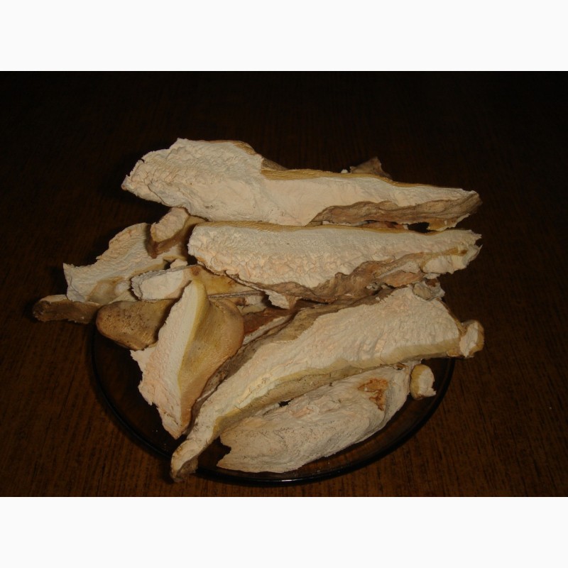 Фото 4. Продам сухие грибы: белые, трутовики берёзовый, серчано-жёлтый, весёлка обыкновенная