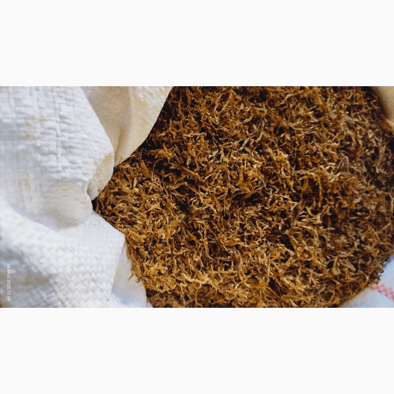 Фото 4. Продам якісний тютюн вірджинія Угорська__власний урожай 2023р