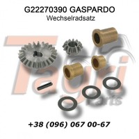 G22270390 Комплект шестерень Gaspardo