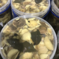 Продам грибы опята