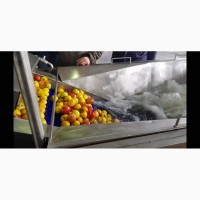 Барботажная моечная машина для ягод овощей фруктов с выгрузочным транспортером