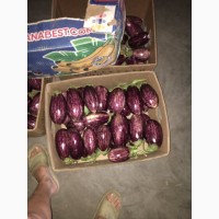 Продам баклажани та інші овочі