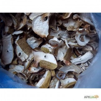 Продам сухие белые грибы из закарпаття