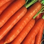 Морква мита/немита оптом (нанський тип)