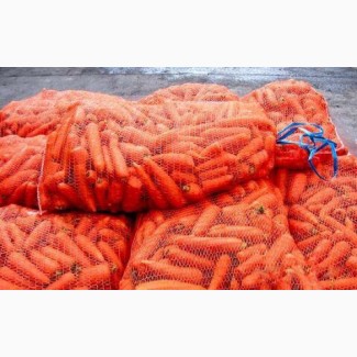 Продам морковь в больших объемах (от 5 тон)
