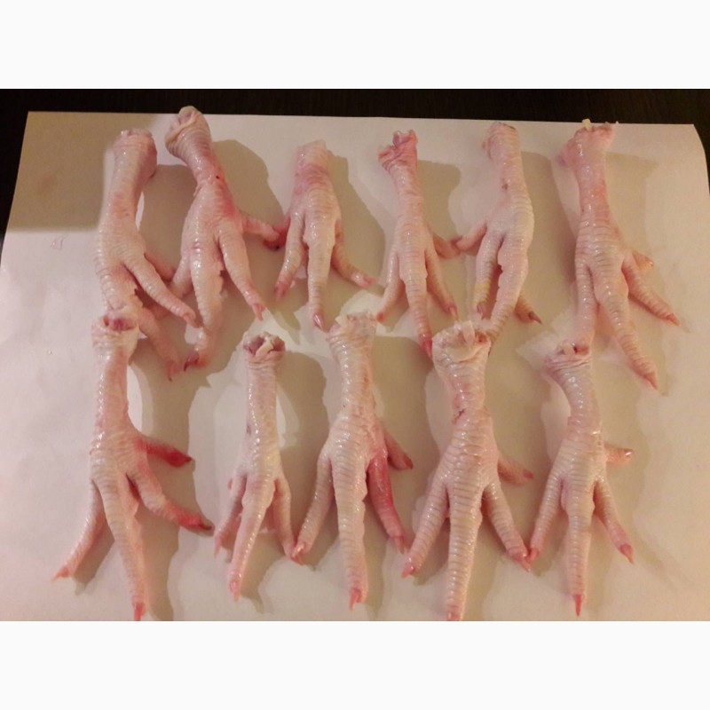 Фото 2. ООО « Амтек Трейд» предлагает на постоянной основе замороженную очищенную куриную лапу