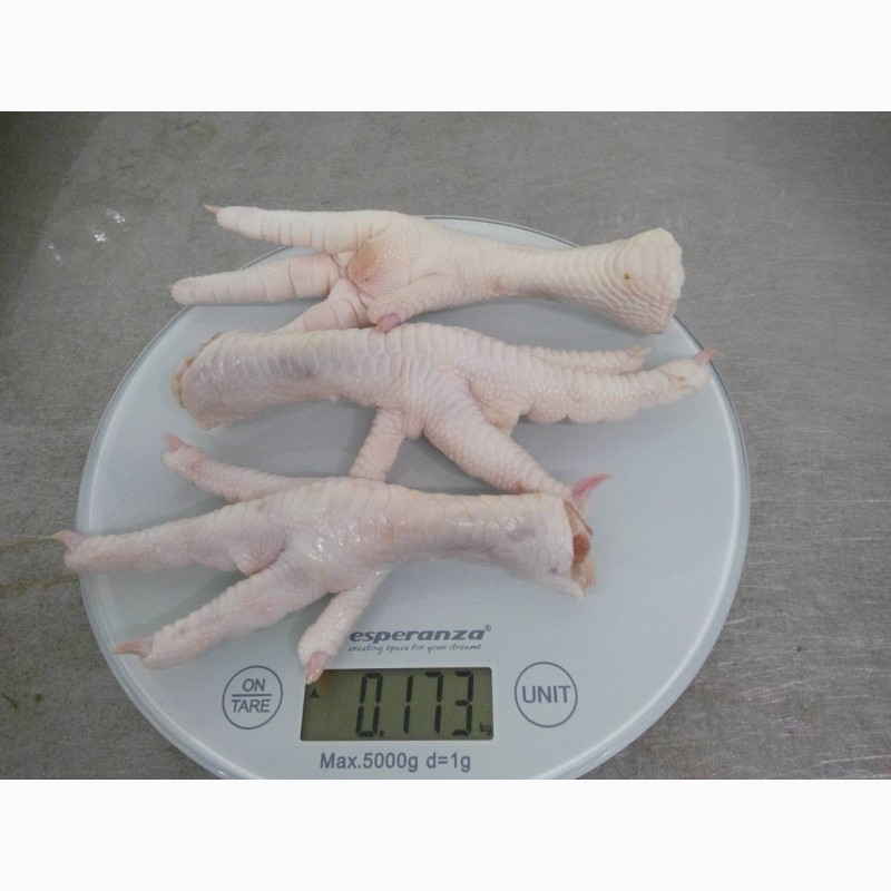 Фото 7. ООО « Амтек Трейд» предлагает на постоянной основе замороженную очищенную куриную лапу