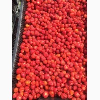 Куплю ягоду свіжої полуниці для переробки (Ківерці)