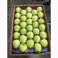 Из Турции оптовая продажа яблок